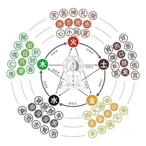 冰箱五行属什么|冰箱植物风水的五行属性及其讲究